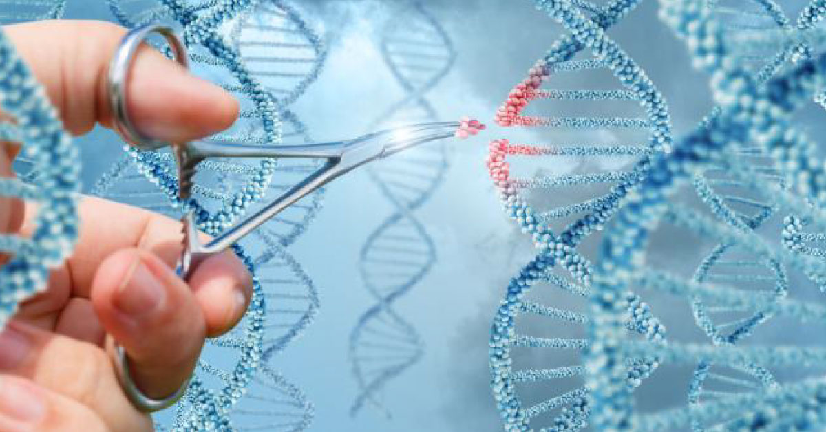 Molecular Editing Tools Will Soon End Genetic Diseases