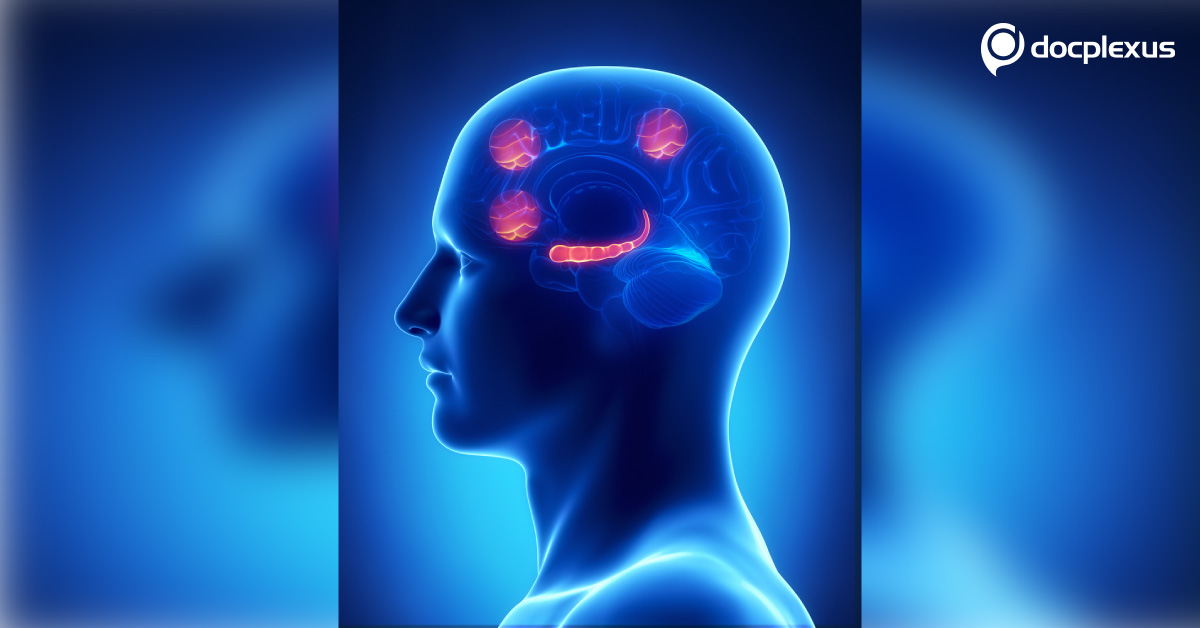 Controlling Our Dreaming Through Prefrontal Cortex In Brain