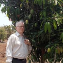 Anand Hombali