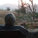 Bakul N.Trivedi