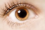 A Brief Review On Pupil