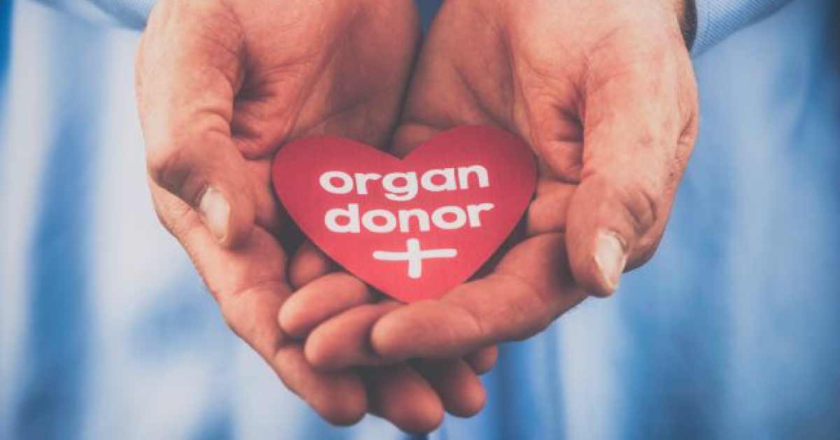 Organ Donation To Be A Part Of MBBS Curriculum