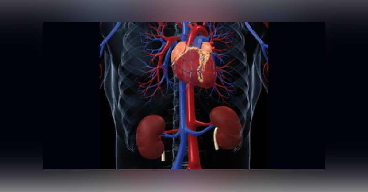Pharmacological Management Of Cardioreneal Syndromes