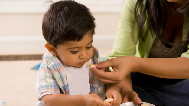 Principles Of Eating In Children