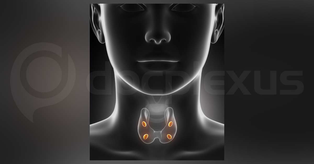 Cryopreservation of Parathyroid Glands
