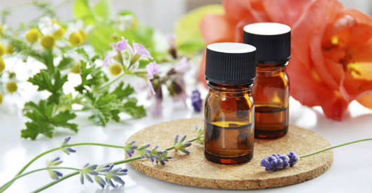 No Alternative Medicine To Prevent Dengue