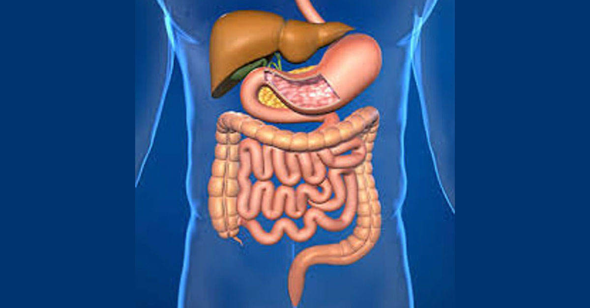 Probiotics With Vegetable Broccoli Will Kill Colo Rectal Cancer Cells