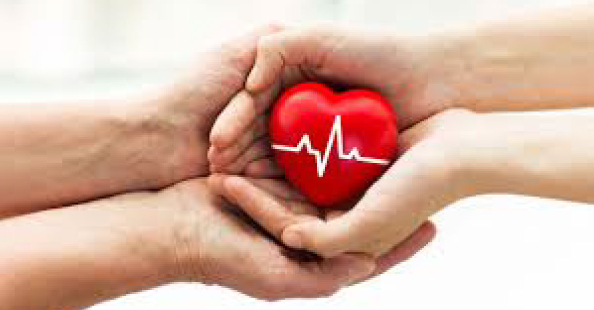 Increasing Awareness About Organ Donation