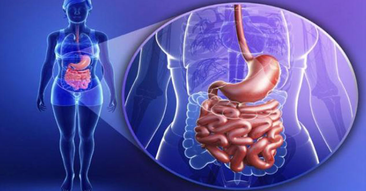 Ingestible Capsule Invented To Detect Different Gases In Gut