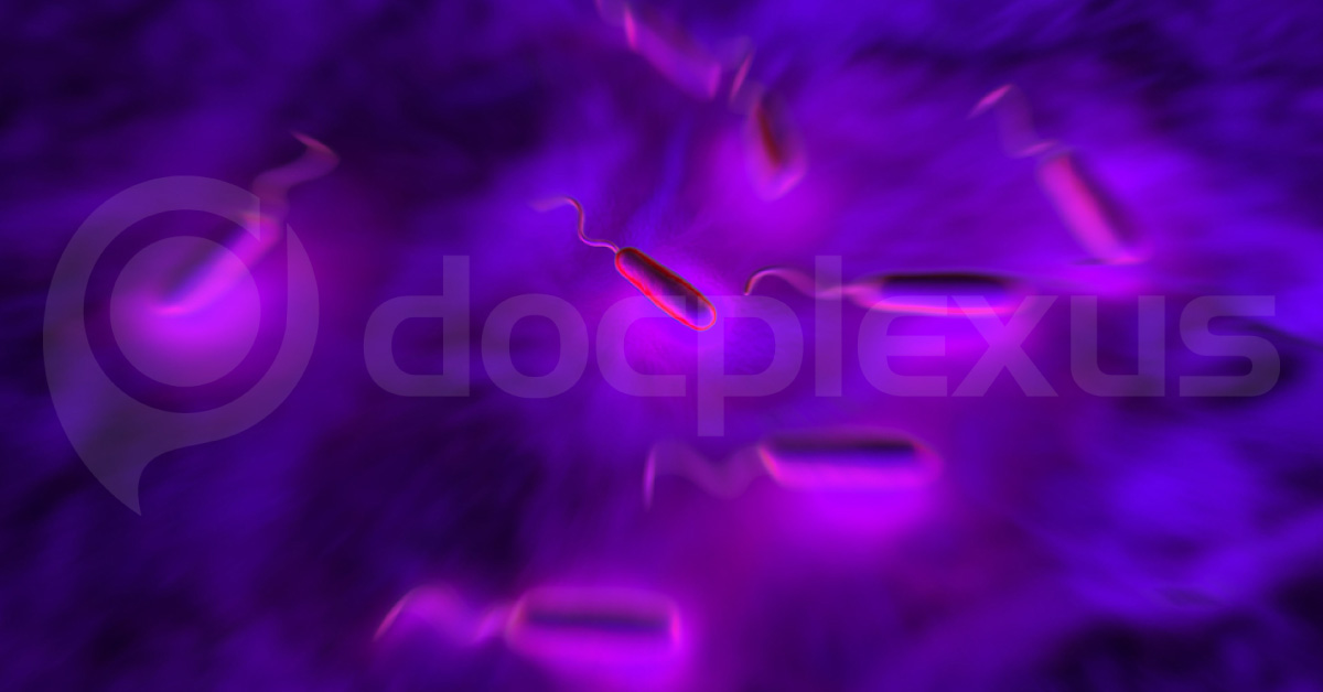 Gram-Negative Bacilli In Blood, Antibiotic Of Choice?