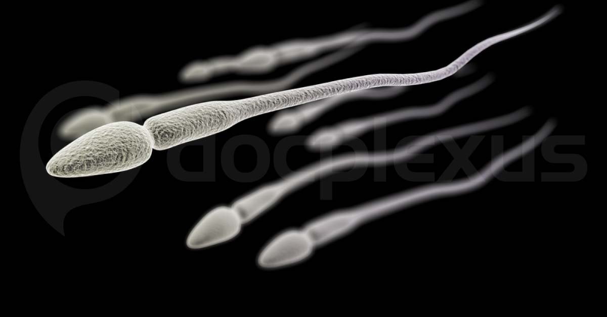 Gynecology Update: Potential sperm motors For Treating Gynecological Diseases