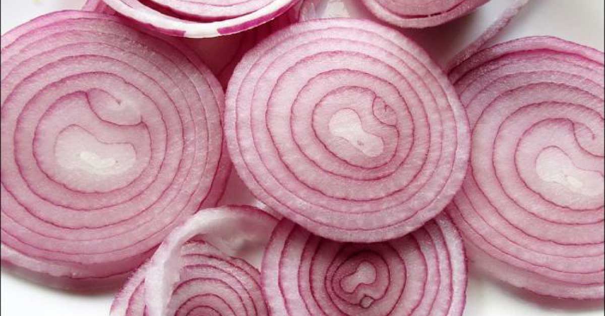 Some Onion Type Helps In Combating Drug Resistant Tuberculosis