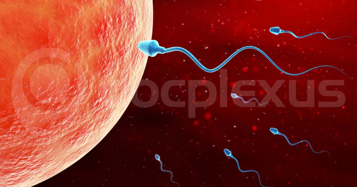 First Male Contraceptive Gel To Reduce Sperm Count Will Be Tested Soon