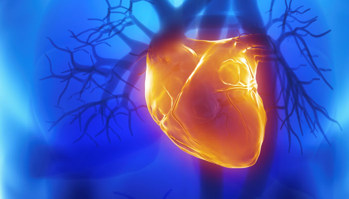 Pathophysiology of Tetralogy of Fallot