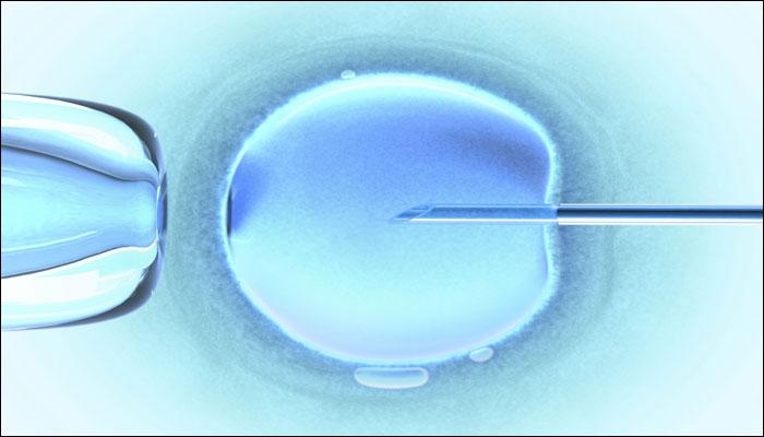 Frozen Embryos Are As Effective As Fresh One In IVF Induced Pregnancy