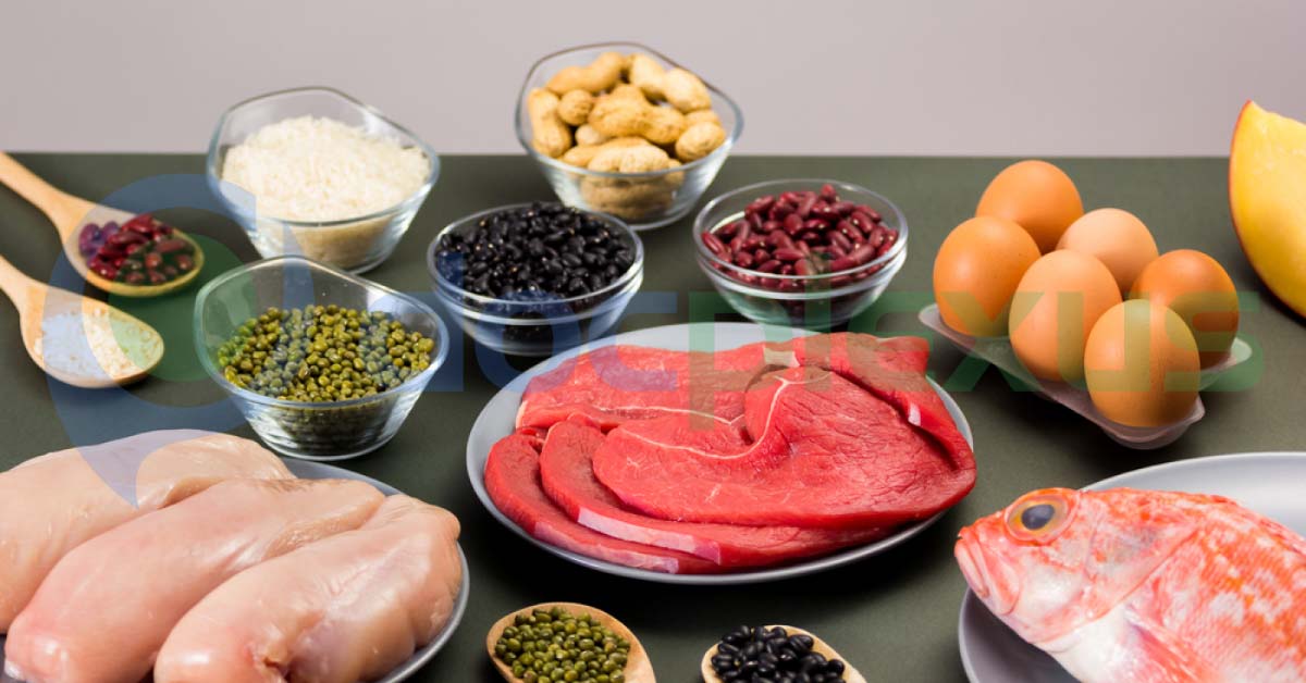 Increasing Protein Intake Through Daily Diet