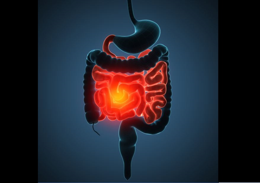 Can Robotic Implant Regrow Stunted GI Tract?