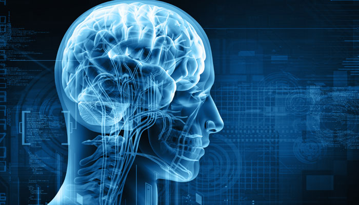 High Salt Also Cause Dementia Beside Hypertension, Kidney, Brain And Heart