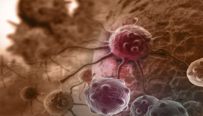 Why Cancer More Common In Breast And Colon Than In Heart Muscles