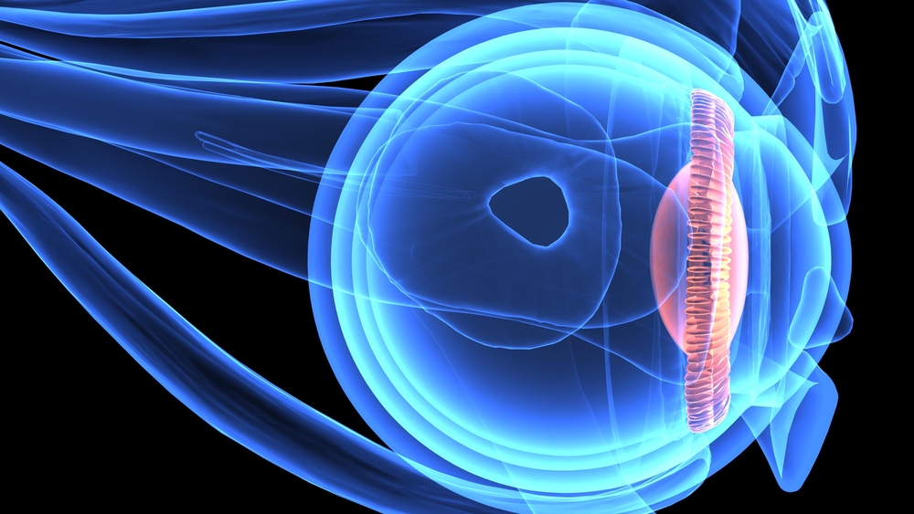 Brief Review On Ocular Manifestations Of Tennis Ball Injury