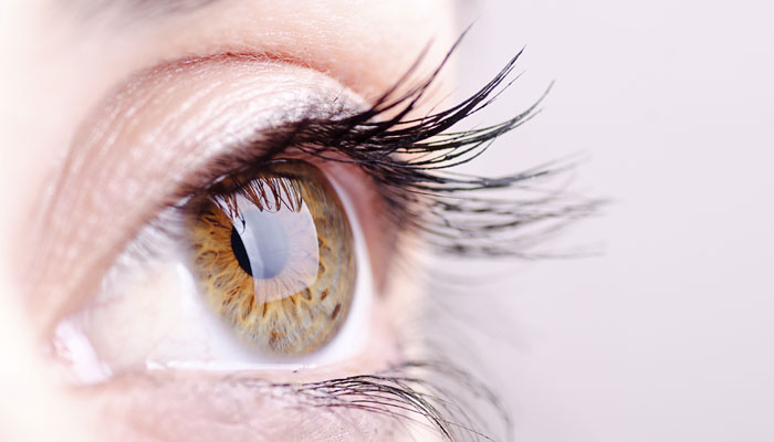New Artificial Eye Correcting Blurr Images Manufactured