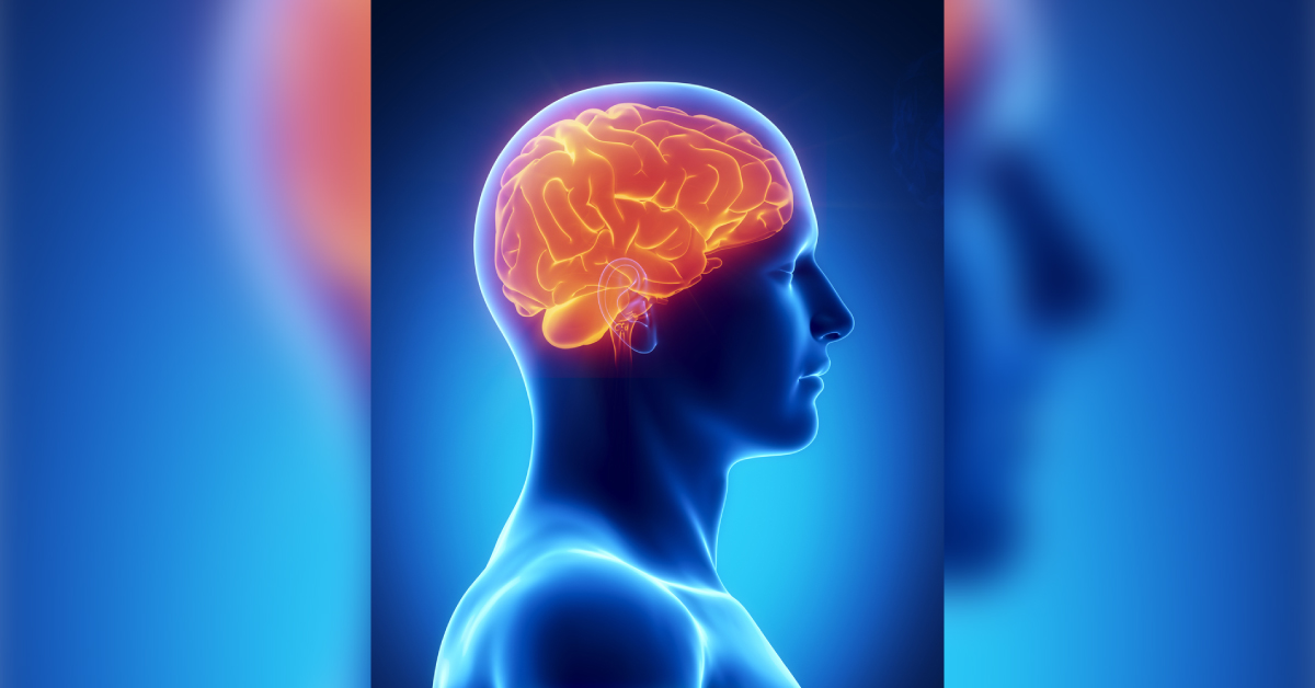 Post Alcohol Brain Can Be Rebooted By An Anti Anxiety Drug-gateway Of Neurogenesis