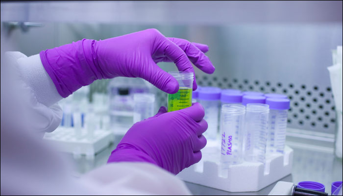 First Time Human Egg Cells Grown In Laboratory - A Boon For Infertility