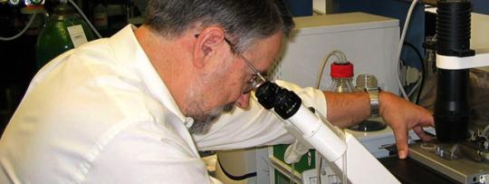 Losartan Shown To Be Effective In The Treatment Of Marfan Syndrome