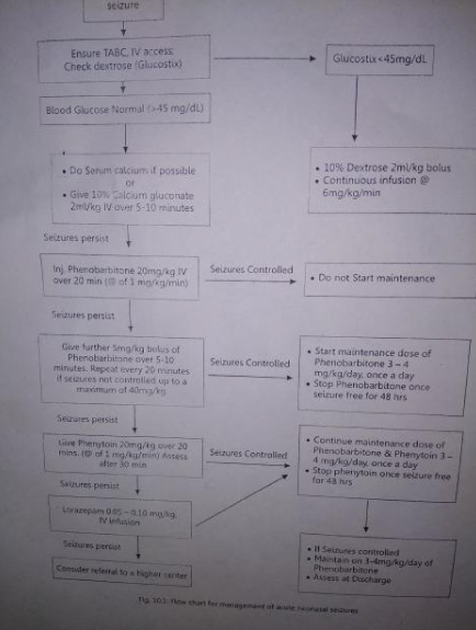 Management Of Neonatal Seizure