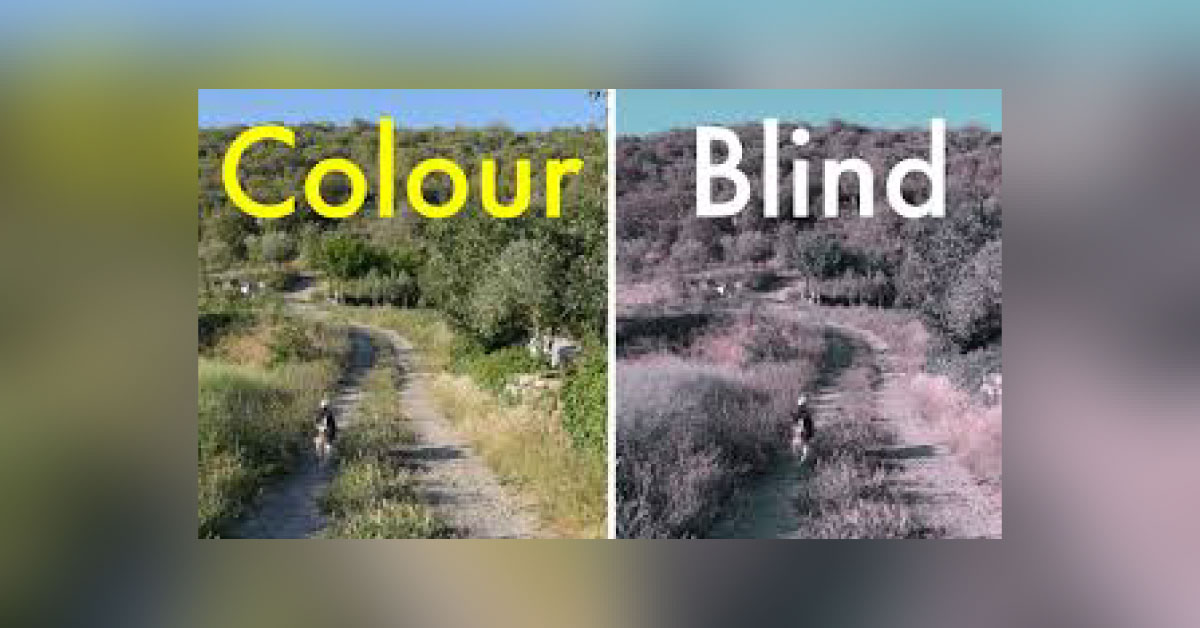 Brief Review On Colour Blindness