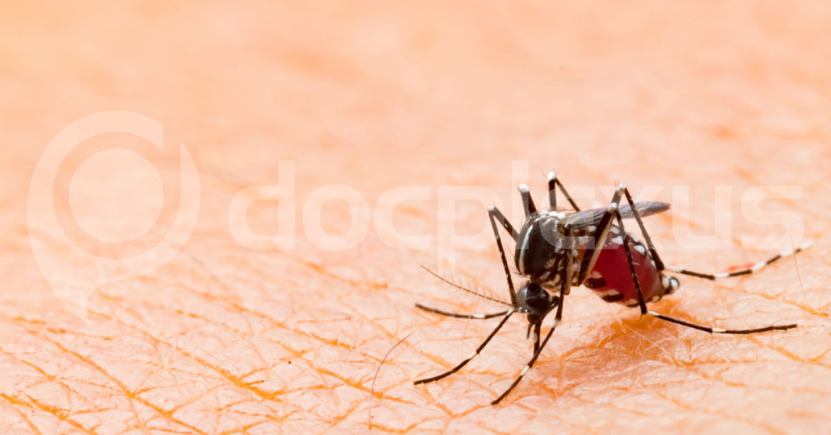 Robotic Sterilised Mosquito By Bacteria Will Control Dengue, Zika, Chikungunya Fever