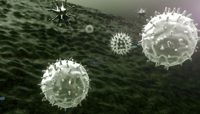 Exposure To Certain Virus May Risk For Diabetes