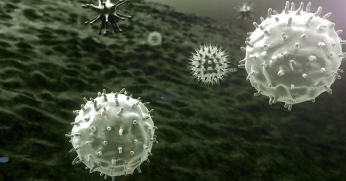Billions Of Virus Around Earth Atmosphere Affecting Human Beings