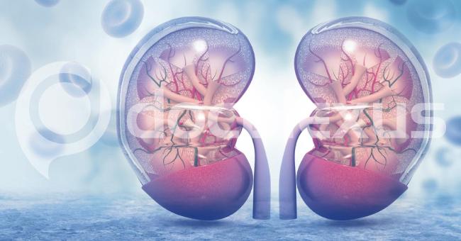 What Do These Clinical Findings Indicate