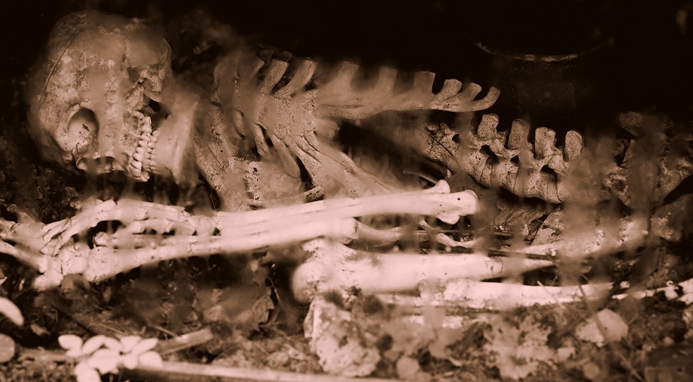 Determination Of Sex From Skeletal Remains