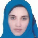 Dina Mohamed Rashad Mohamed Hamada 