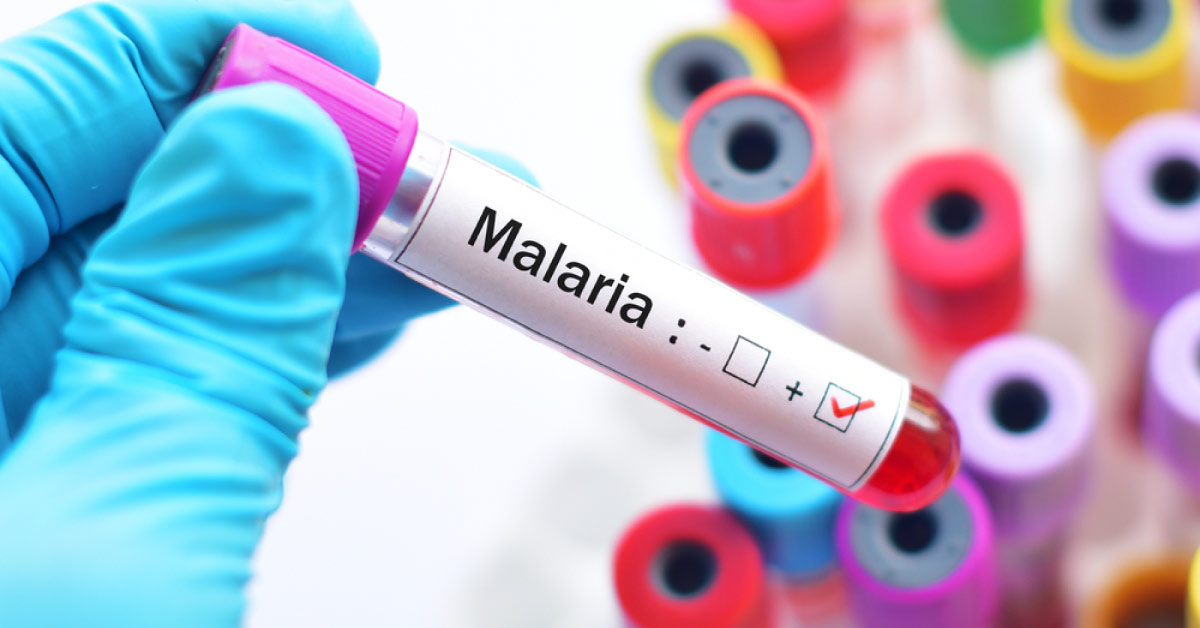 WHO World Malaria Report 2018: Progress In Malaria Control