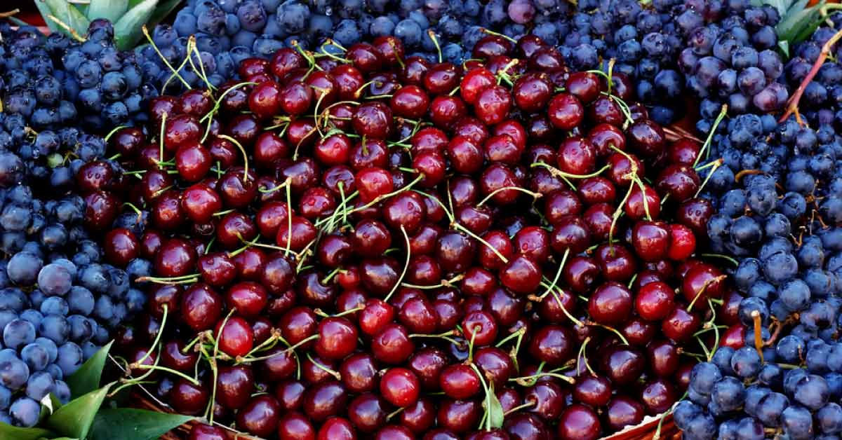 Natural Pigment Anthocyanin Can Help Reduce Cardiovascular Risks