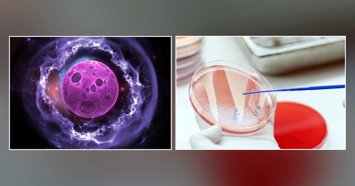 Synthetic Virus To Tackle Antimicrobial Resistance
