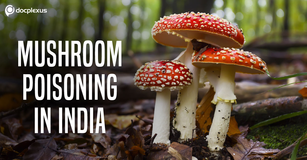 Mushroom Toxicity: Diagnosis and Management