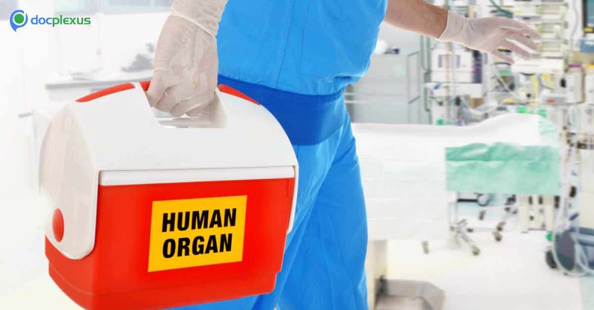 Dubai To Start Organ Transplants