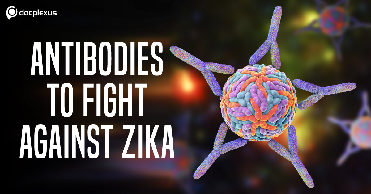 6 New Antibodies To Combat Against ZIKA Virus