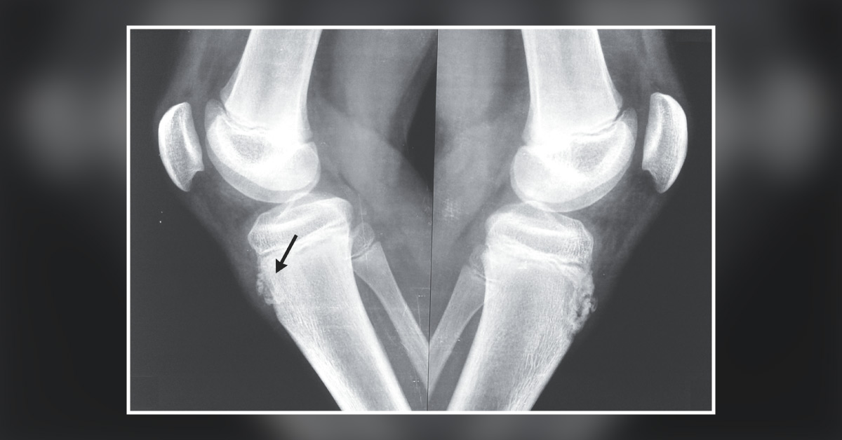 What’s Your Diagnosis?