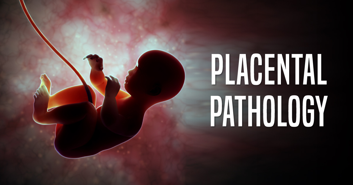 Placental Pathology in Medicolegal Investigations