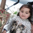 Faheem Ahmed