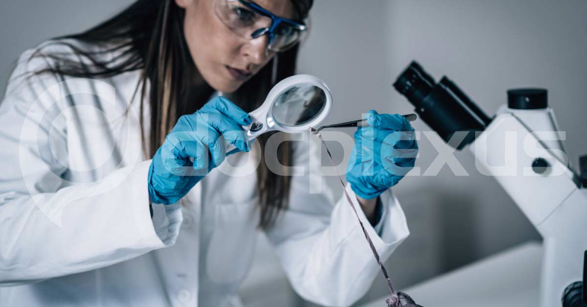 What Are Your Forensic Findings?