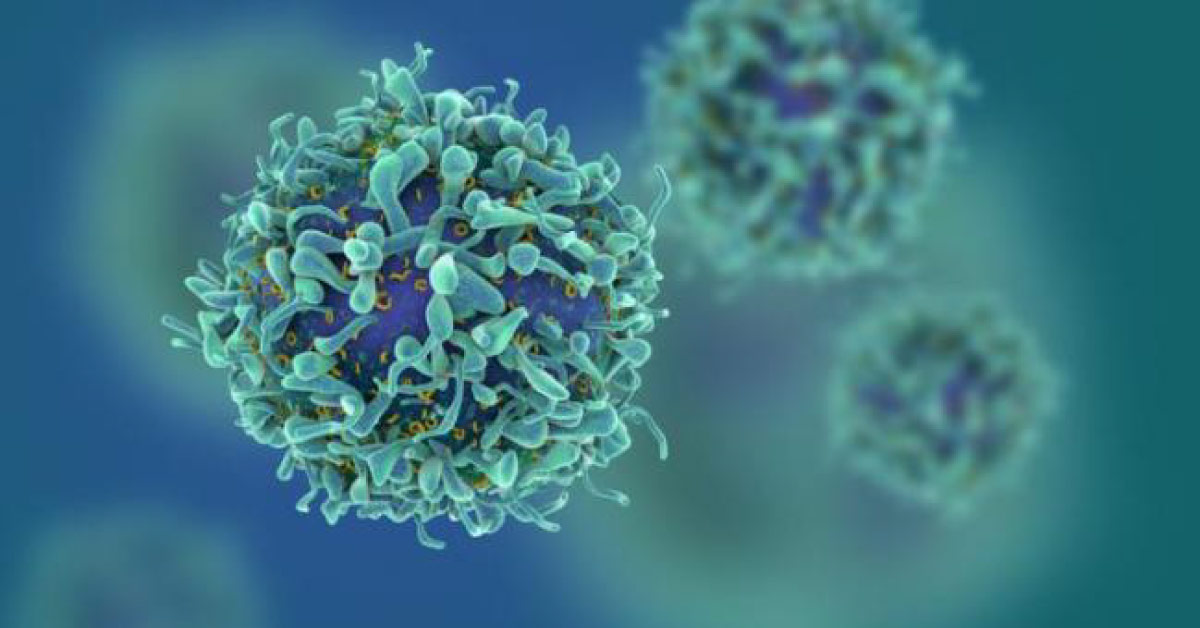 HIV Antibodies A New Tool To Control HIV Is Successful In Monkey