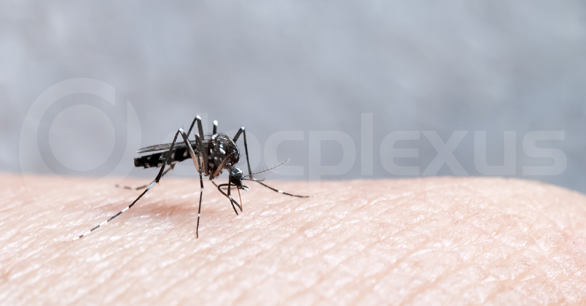 A New Human Antibody Developed To Prevent Malaria Infection