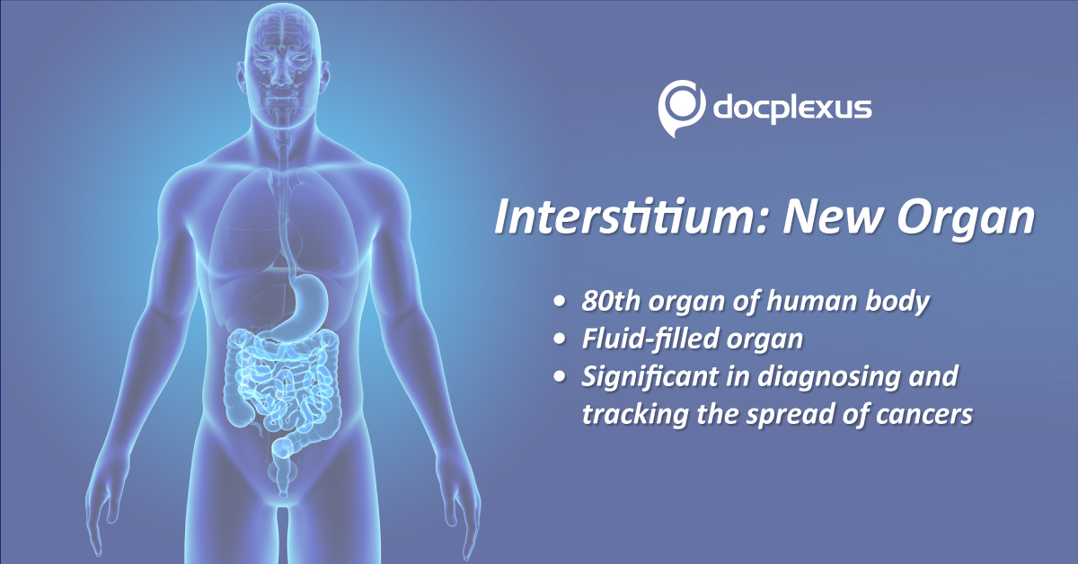 Interstitium: New 80th Organ Of Human Body