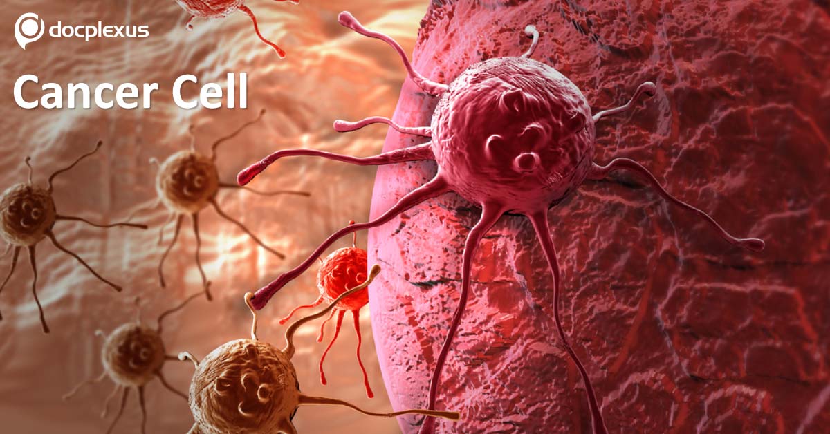 A Novel Protein For The Treatment Of Liver Cancer